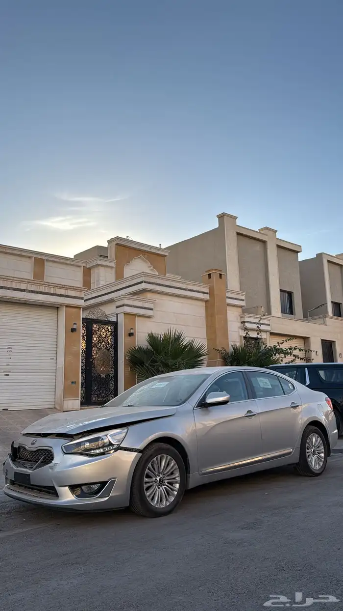 كادينزا 2014 مصدومه 0