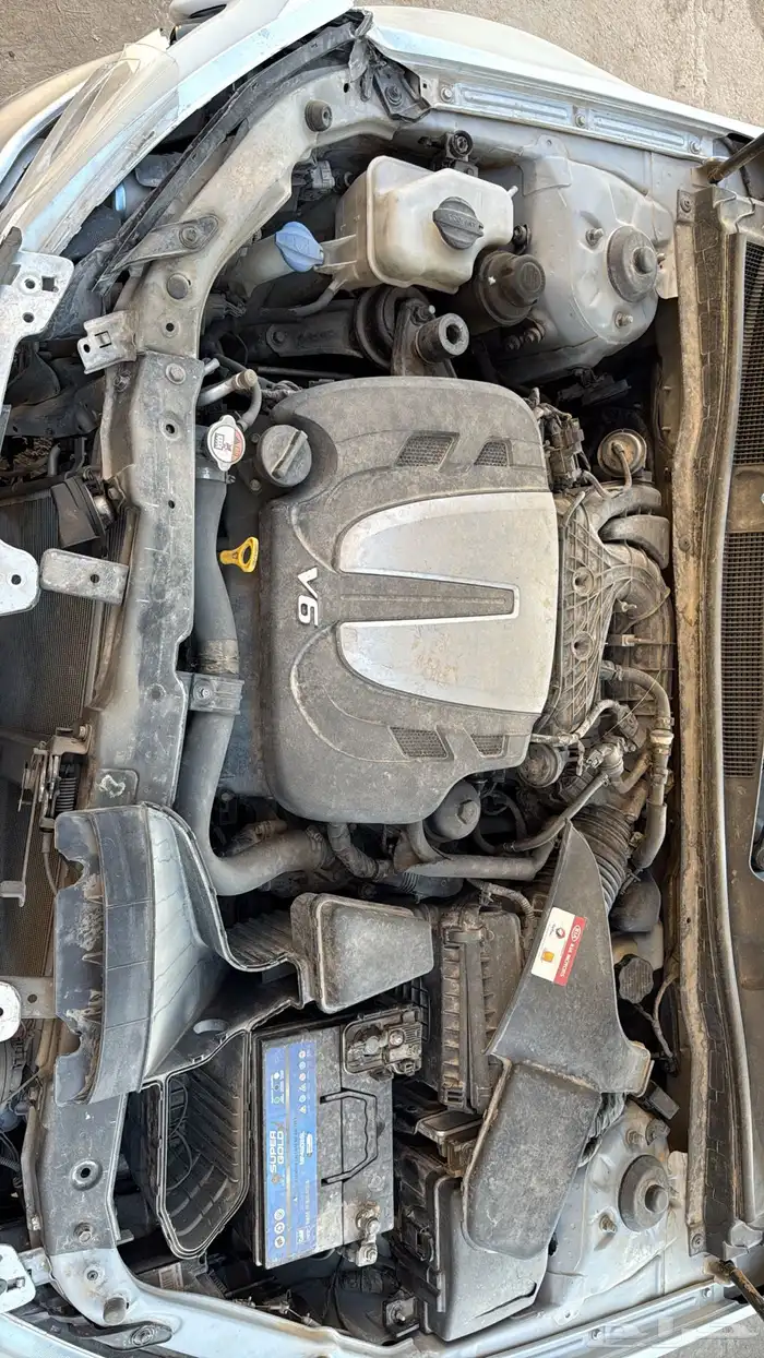 كادينزا 2014 مصدومه 6