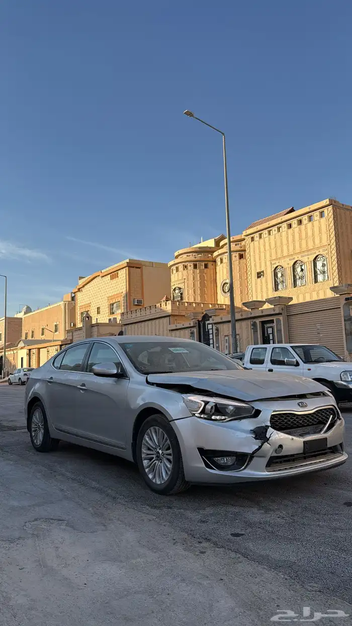 كادينزا 2014 مصدومه 1