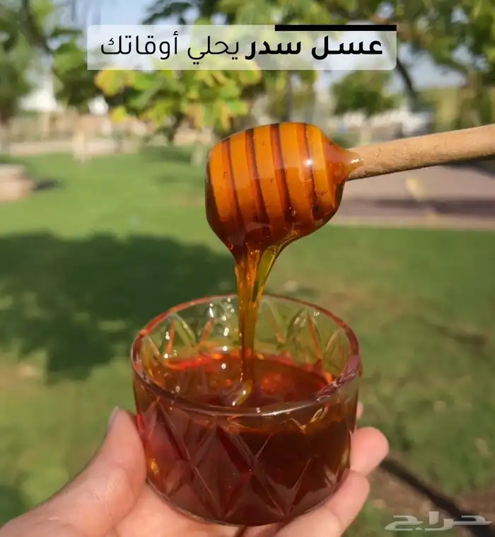 عسل سدر ( الباحه ) 0
