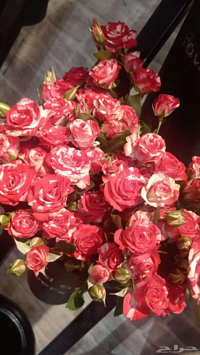 مخل ورد وهدايا احدرفيده توصيل فوري 2