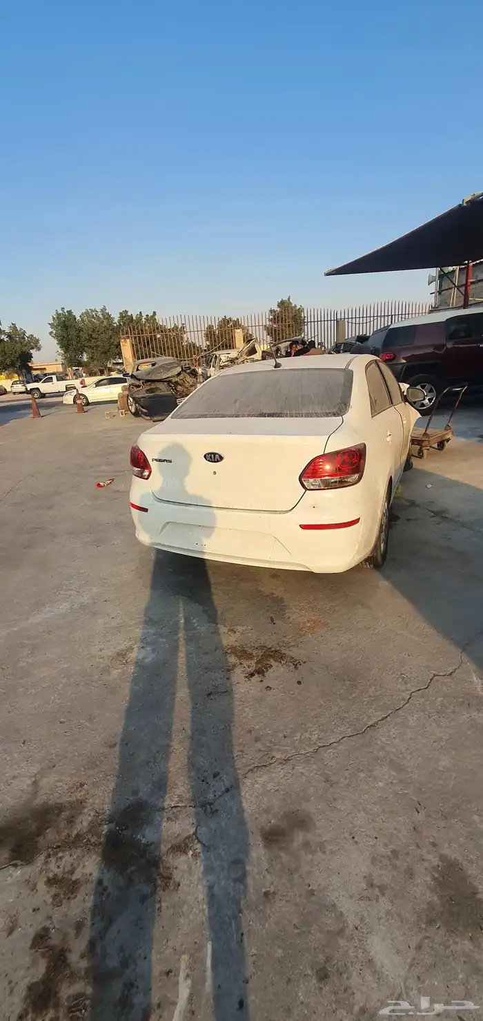كيا بيجاس 2020 1