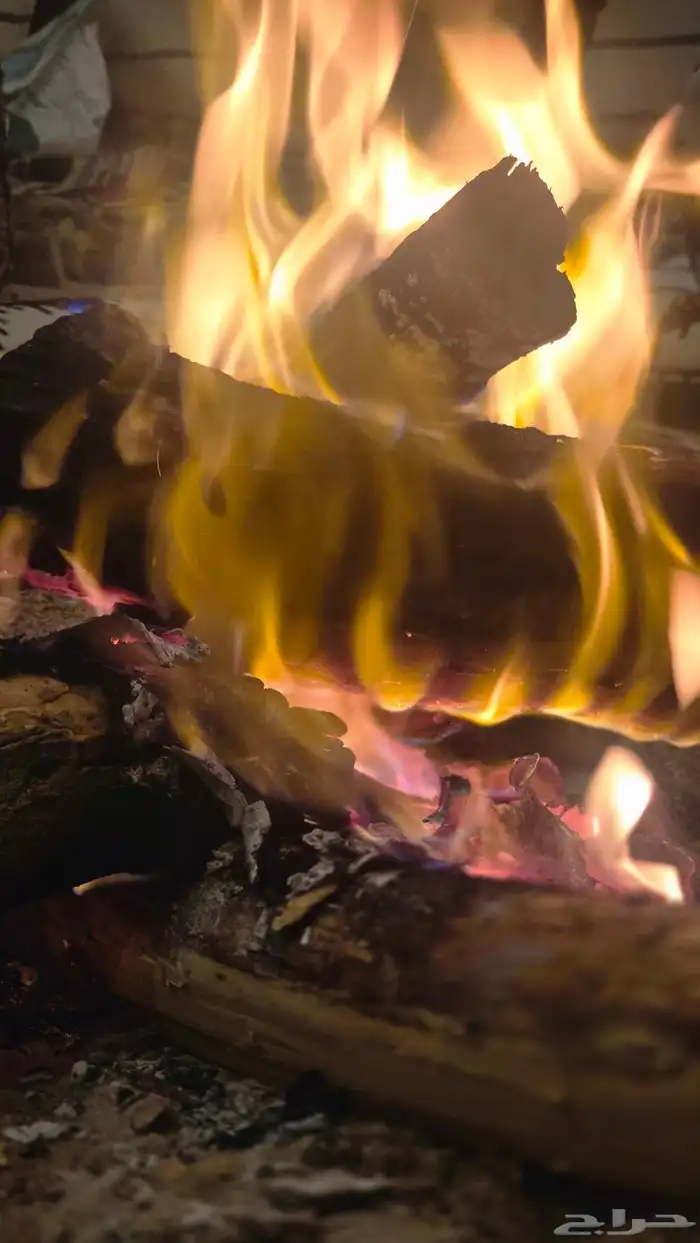 تصميم شيلات تصاميم مدرسية 0