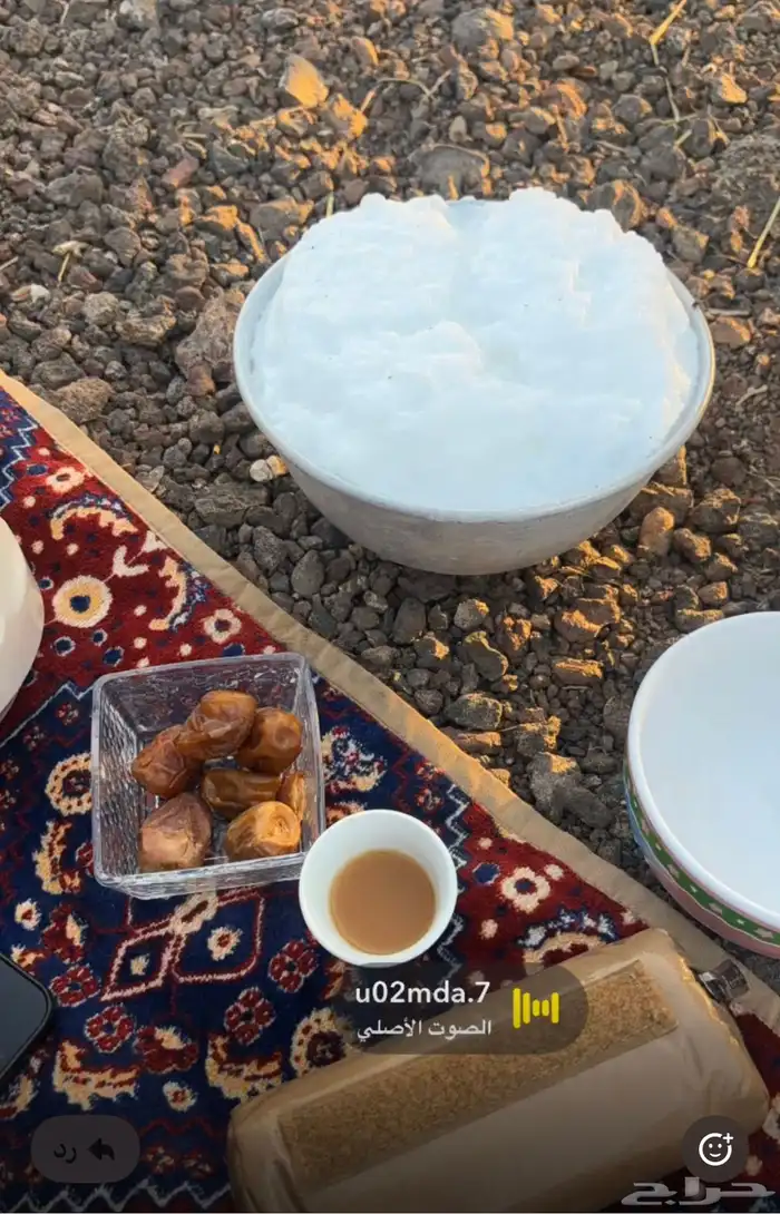 خلفة للبيع 1