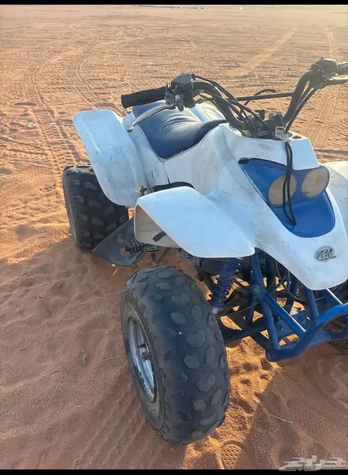 الدباب للبيع رماح 1