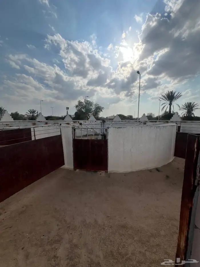 منتجات اسطبل كامله للبيع 4