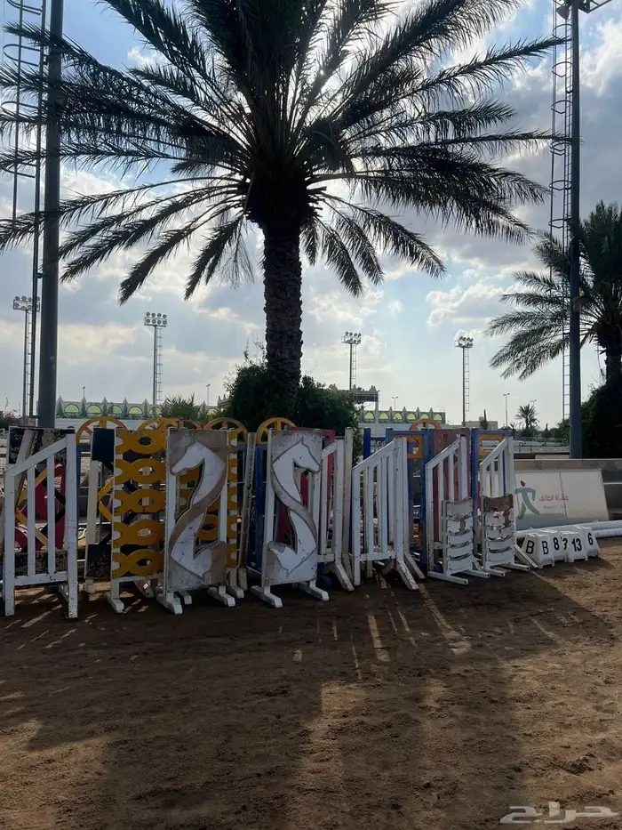 منتجات اسطبل كامله للبيع 10