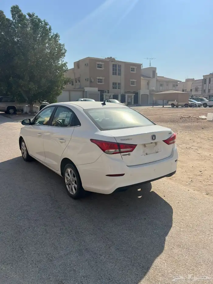 شانجان السفن 2023 2