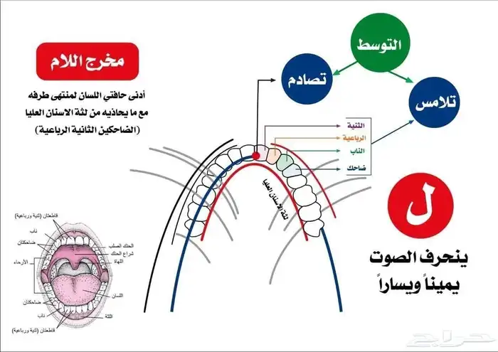 معلم تأسيس وقرآن ونور البيان وتجويد للأطفال وكبار السن 1