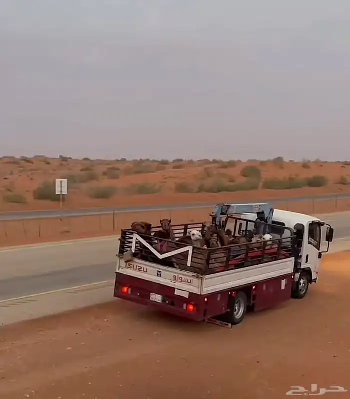 دنه هيدروليك لتحميل الحلال والمعدات 0