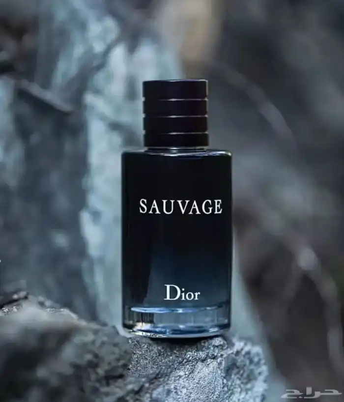 عطور عالمية و تسترات أصلية بسعر الجملة 7