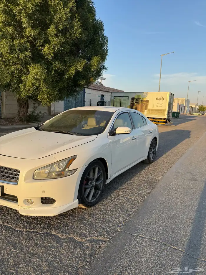 ماكسيما 2010 0