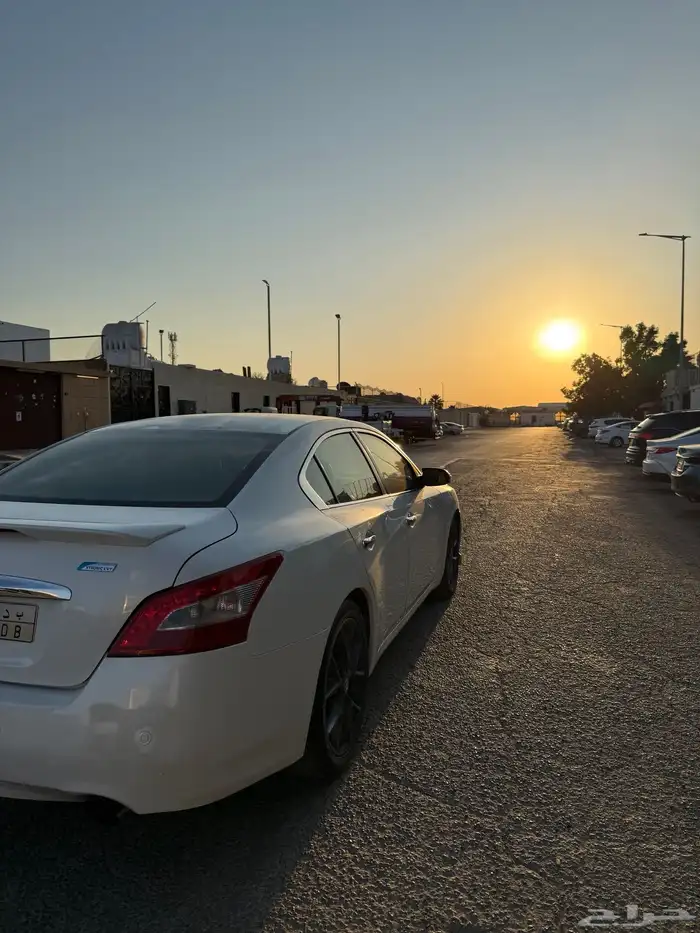 ماكسيما 2010 2