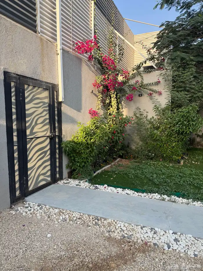 استراحه للايجار السنوي المساحه 450م شارع 30 شمالي 11