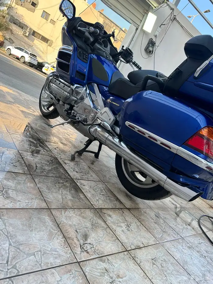 دباب قولد وينق Gold Wing 7