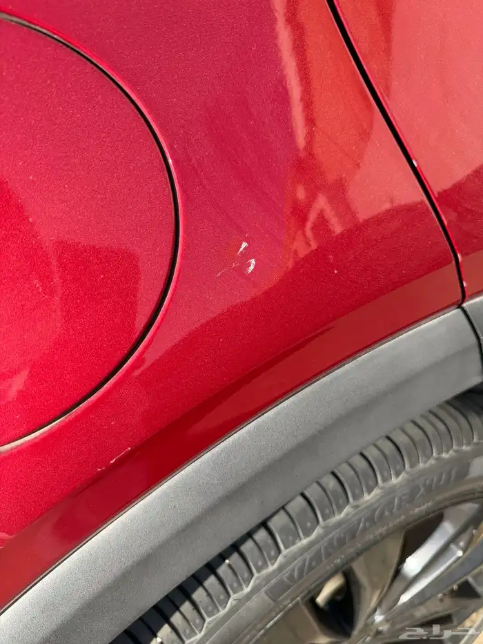 توجيلا 2022 10