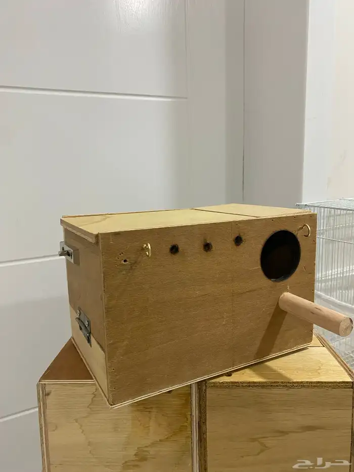 بياضه عش عصافير 0