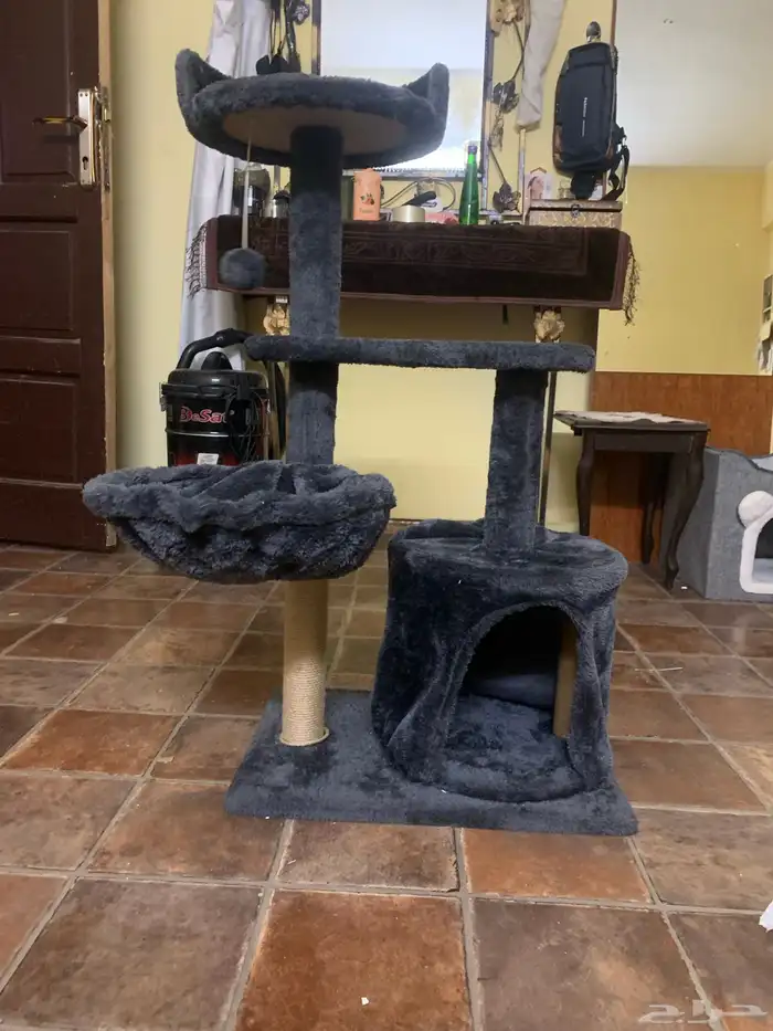 بيت قطط كبير تلت ادوار 1