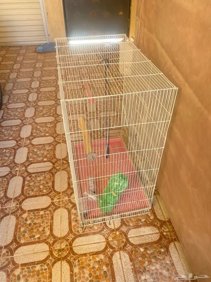 قفص شبك طيور 0
