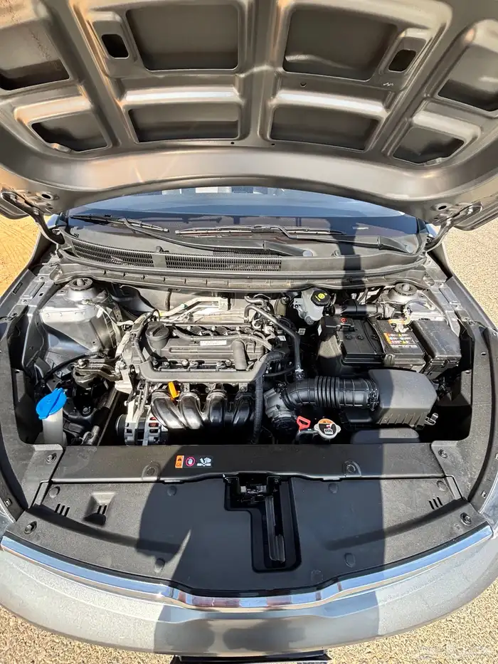 كيا بيقاس 2024 8