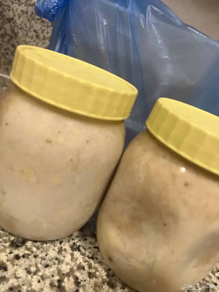 سمن غنم رباب رضيفه 1