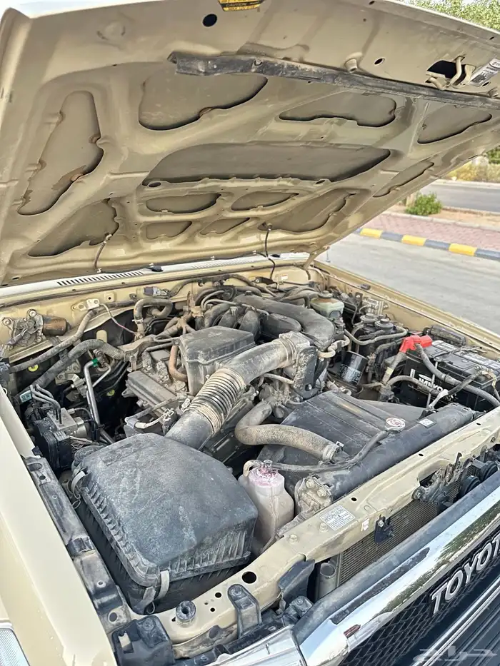 شاص 2020 بيج 23