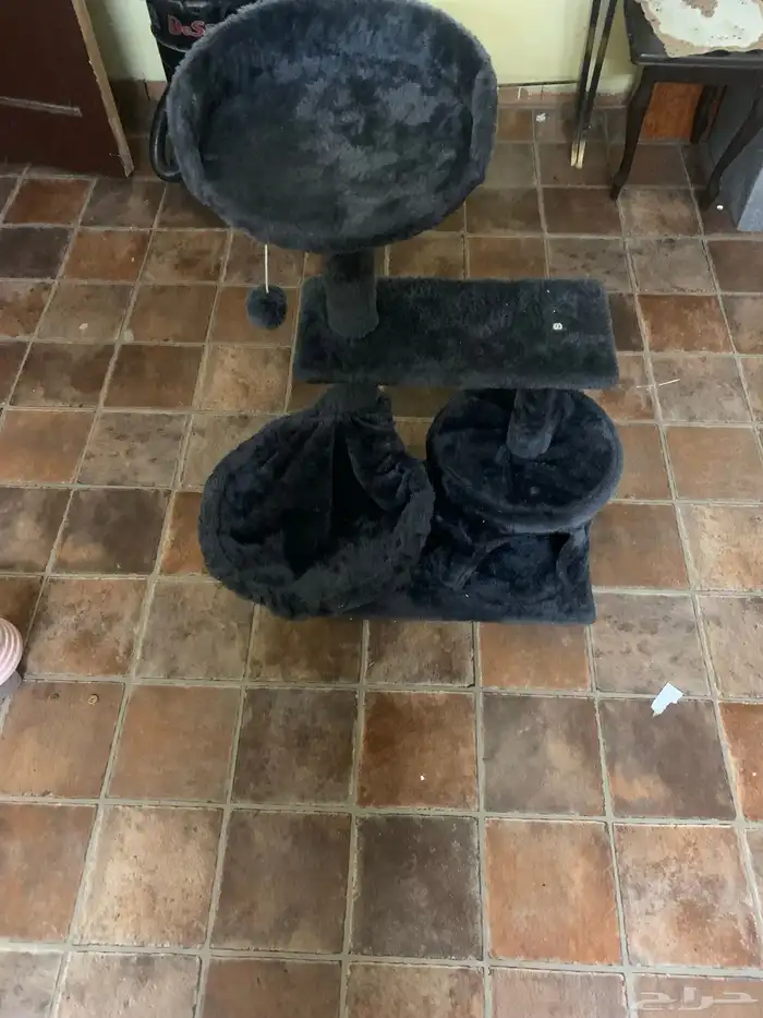 بيت قطط كبير تلت ادوار 2