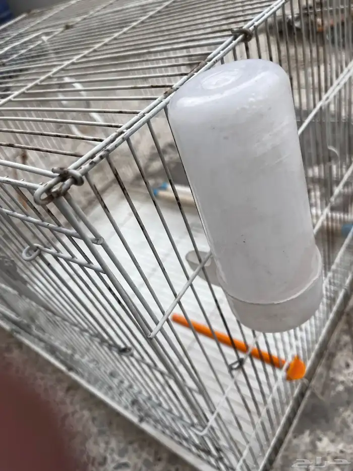 قفص للبيع بسعر مناسب 5