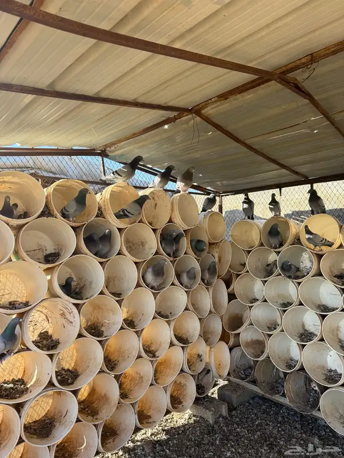 حمام سلفر للبيع 3