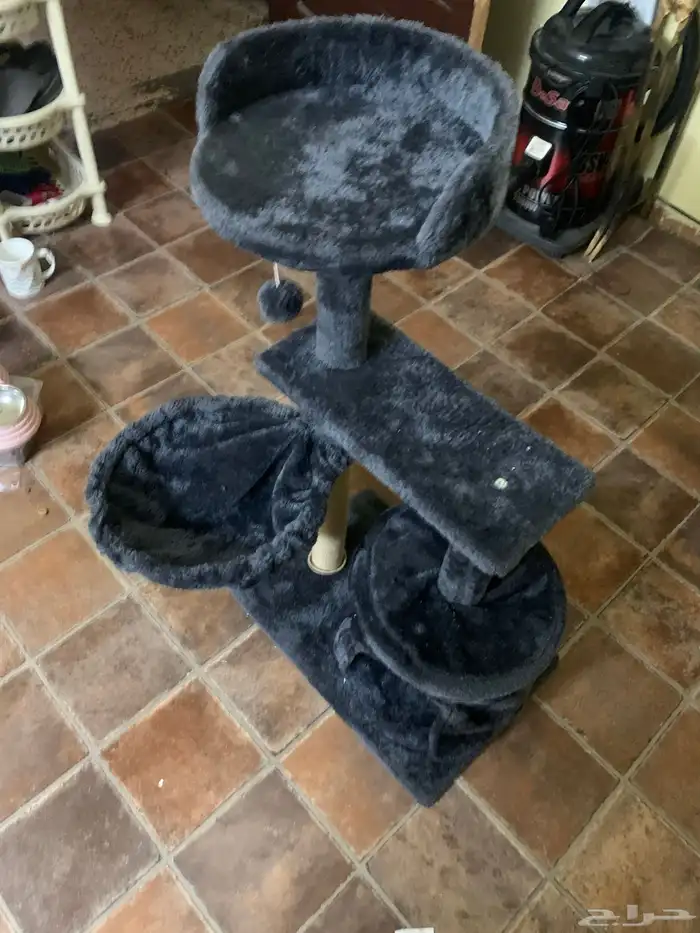 بيت قطط كبير تلت ادوار 0