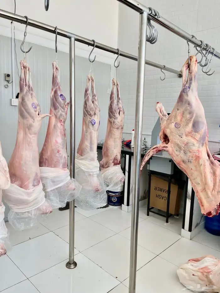 لحوم  . خروف كشميري. تيس كشميري. عجل 2