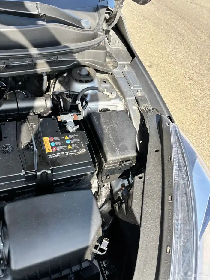 كيا بيقاس 2024 9