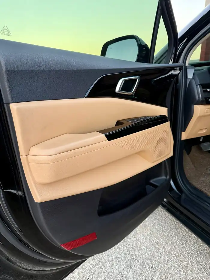 كرنفال 2021 بنزين فل كامل 11