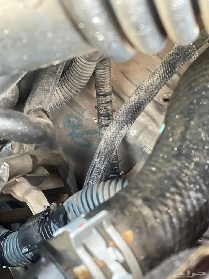 كرورلا 2015 نظيفة وكالة 13