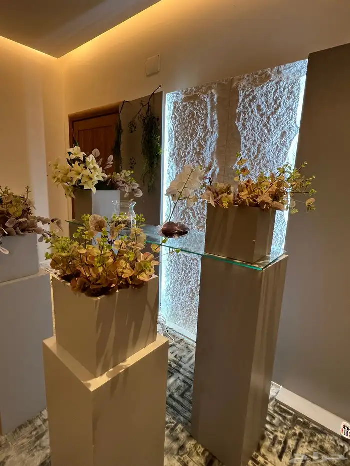 لتأجير استقبال مواليد الي حاب او حابه تستأجر استقبال مواليد 1