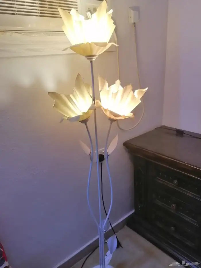 إضاءة مضيئة 1