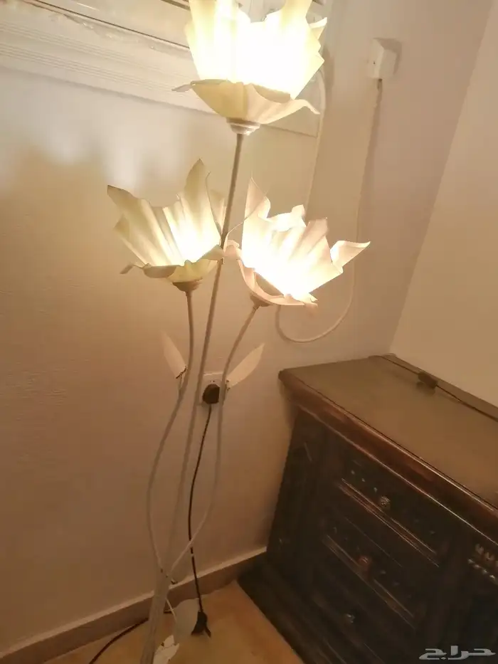 إضاءة مضيئة 0