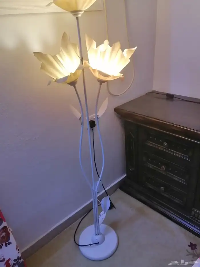 إضاءة مضيئة 3