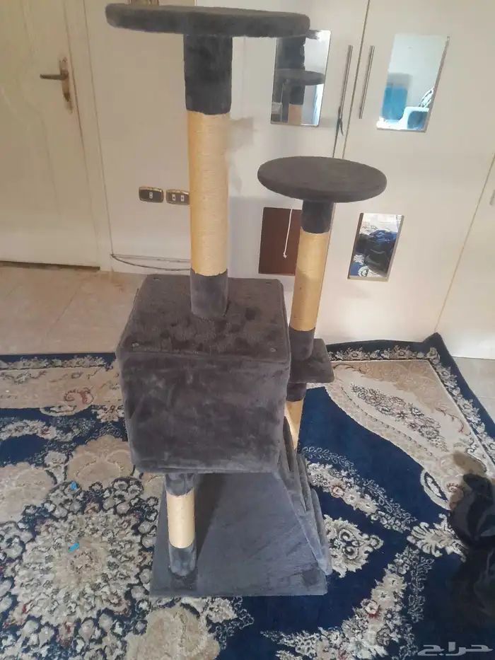 بيت قطط جديد 0