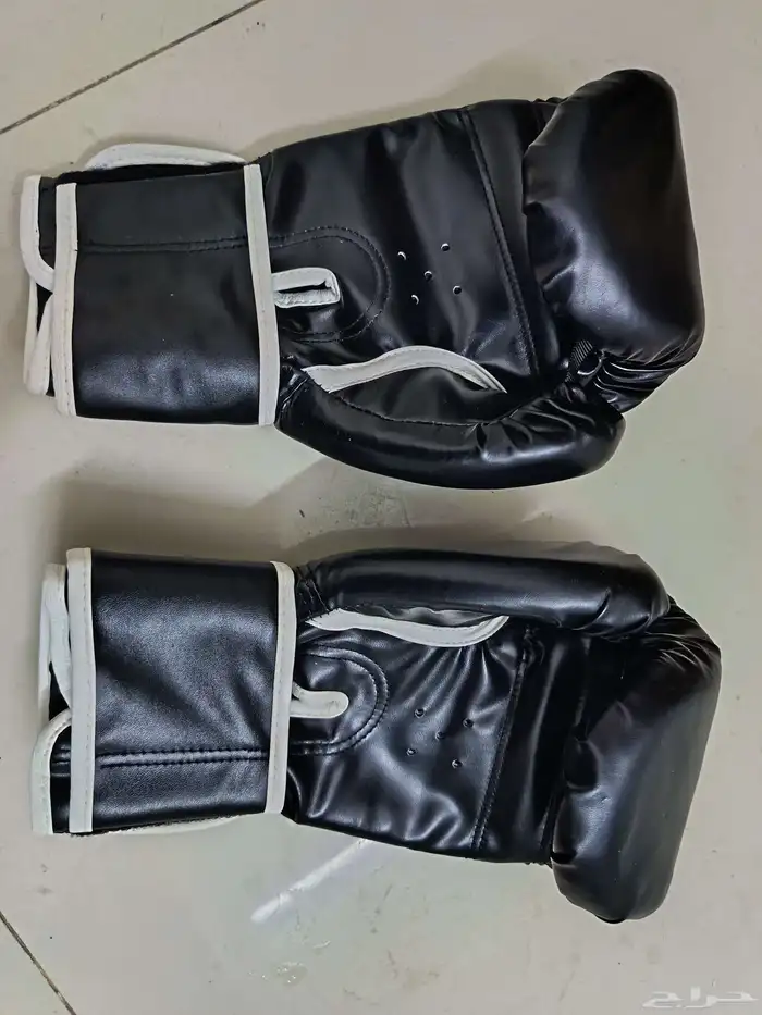 قفاز ملاكمه من افرلاست 1