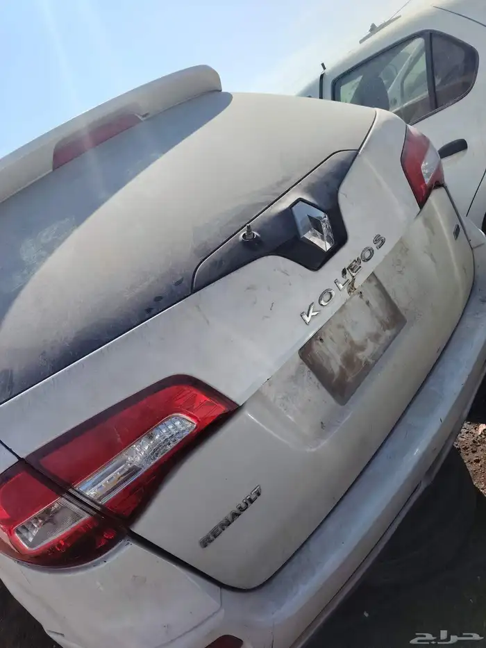 جميع انواع الرينو 4