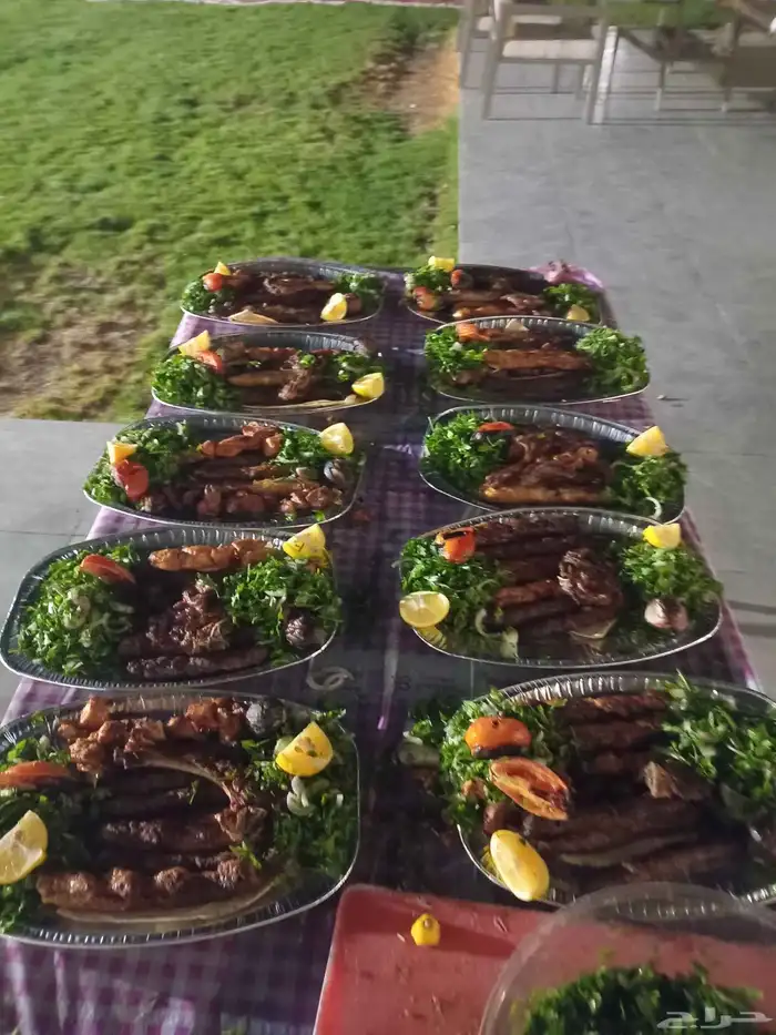 مطلوب ممول مشروع مطعم مشويات سوريا و عراقيه الخبره موجوده مط 8