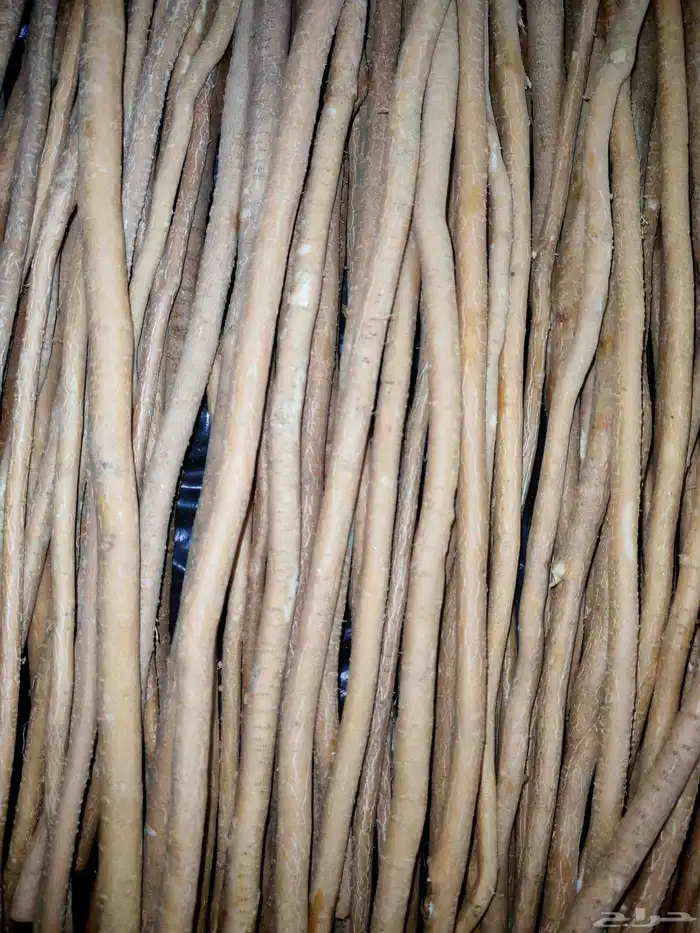 مسواك ابو حنش عرض ربطة ب 30 وعليها ربطة مجانا 6