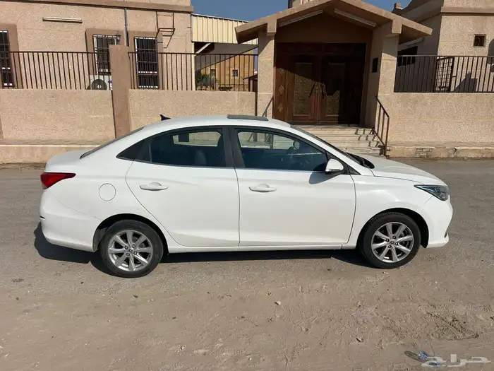 شانجان السفن 2023 4