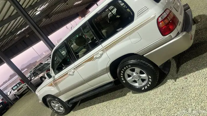 فكسار دفلوك 19