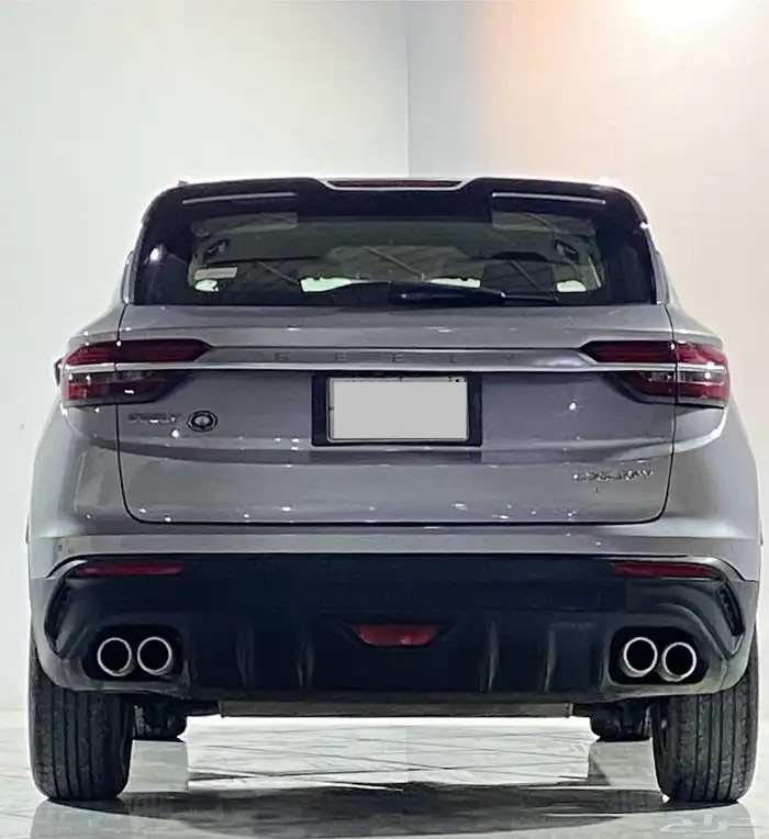 جيلي كولوراي  2023 8