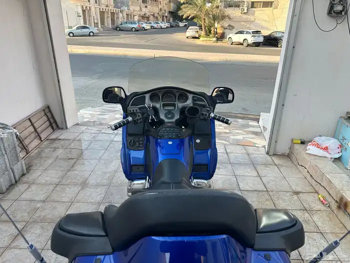 دباب قولد وينق Gold Wing 6
