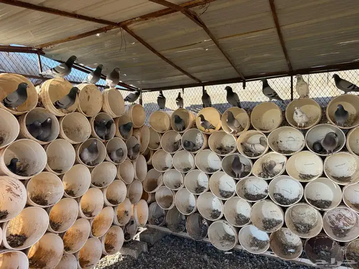 حمام سلفر للبيع 1