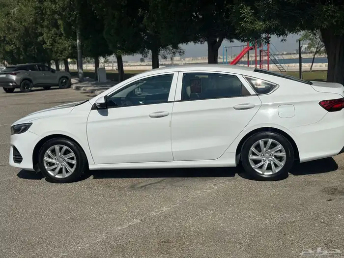 2020 جيلي بينراي 5