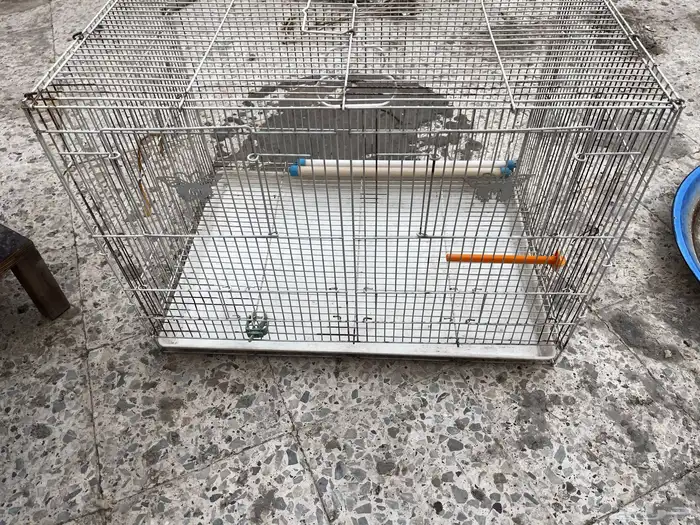 قفص للبيع بسعر مناسب 0